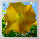 Yellow Hawaiian Flower Poster