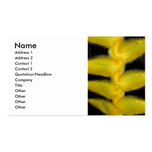 Yellow Hawaiian Heliconia Business Cards (front side)