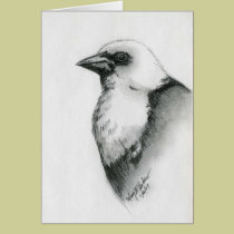 Yellow Headed Blackbird -bird Note Card cards