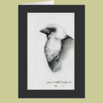 Yellow Headed Blackbird -bird Note Card cards