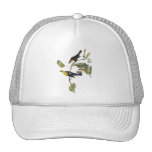 Yellow-headed Blackbird - John Audubon Mesh Hats