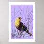 Yellow-Headed Blackbird...Print.
