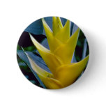 yellow Heliconia spp. flowers Buttons
