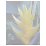 yellow Heliconia spp. flowers Letterhead Design
