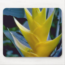 yellow Heliconia spp. flowers Mouse Pad