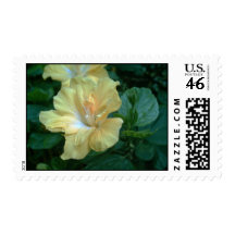 Yellow-Hibiscus-1 Postage Stamp