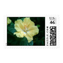 Yellow-Hibiscus-2 Postage Stamp