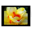 Yellow Hibiscus Blossom card by Capriceharmony65 Yellow Hibiscus Blossom card