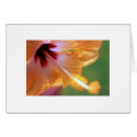 "Yellow Hibiscus" cards by Rmarvil "Yellow Hibiscus" cards