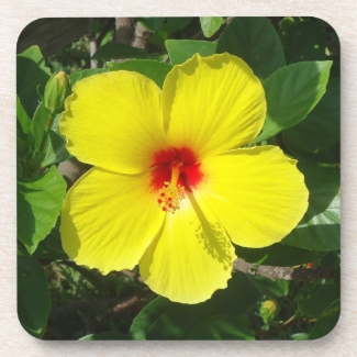 Yellow Hibiscus Cork Coaster