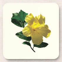 Yellow Hibiscus in Sunshine cork coasters