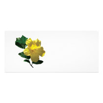 Yellow Hibiscus in Sunshine rack cards