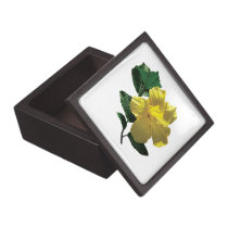 Yellow Hibiscus in Sunshine premium gift boxes