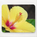 Yellow Hibiscus Mousepad by dlgray Yellow Hibiscus Mousepad