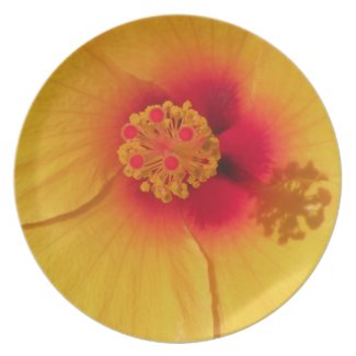 Yellow Hibiscus Plate fuji_plate