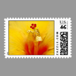 Yellow Hibiscus Postage stamps