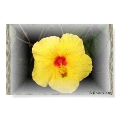 yellow hibiscus print by KrisArts