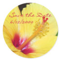 Yellow Hibiscus Save the Date Stickers