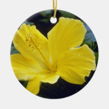 yellow Hibiscus Species flowers Christmas Ornament
