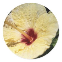 Yellow Hibiscus stickers