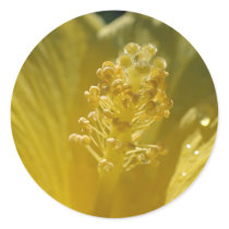 Yellow Hibiscus Stickers