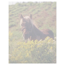 yellow Horse, Ottawa Valley flowers Customized Letterhead