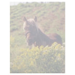 yellow Horse, Ottawa Valley flowers Customized Letterhead