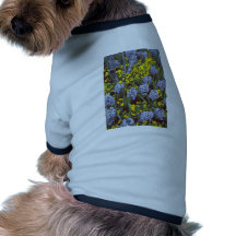 yellow Hyacinths 'Bismark' interplanted with Viola Dog Tee Shirt