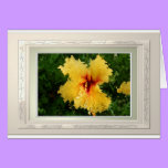 YELLOW HYBICUS GREETING CARD cards