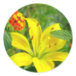 Yellow Hybrid Lilly Sticker