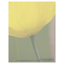 Yellow Iceland Poppy DSC2213 Letterhead Template