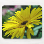 Yellow in the Garden mousepads