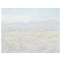 yellow Inyo County - Wildflowers and the Sierras f Personalized Letterhead