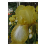 Yellow Iris Card
