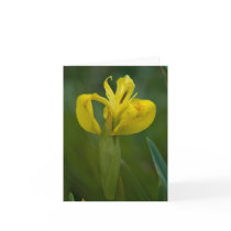 Yellow Iris Note Card by SabineSt Yellow Iris Note Card