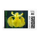 Yellow Iris Postage postage
