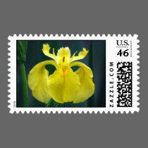 Yellow Iris Postage stamps