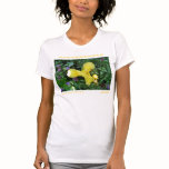 YELLOW IRIS T-SHIRT