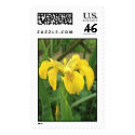 Yellow Iris (Yellow Flag) postage