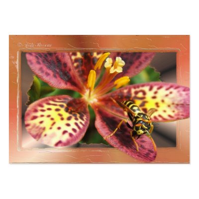 Yellow Jacket ~ ATC card Business Card Templates by Andy2302