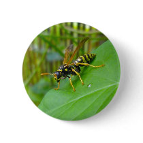 Yellow Jacket Badge buttons