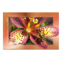 Yellow Jacket ~ print