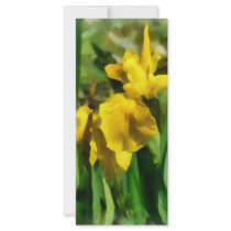 Yellow Japanese Irises rack cards