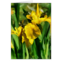 Yellow Japanese Irises cards