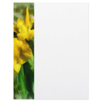Yellow Japanese Irises letterhead