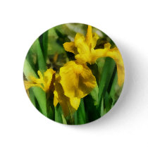 Yellow Japanese Irises buttons