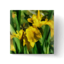 Yellow Japanese Irises buttons
