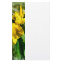 Yellow Japanese Irises stationery