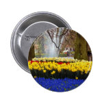yellow Keukenhof gardens, Amsterdam, Netherlands f Buttons