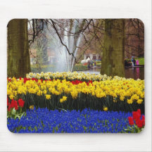 yellow Keukenhof gardens, Amsterdam, Netherlands f Mousepads
